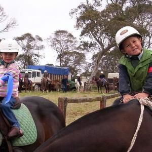 Meet your Posher, Cheyenne